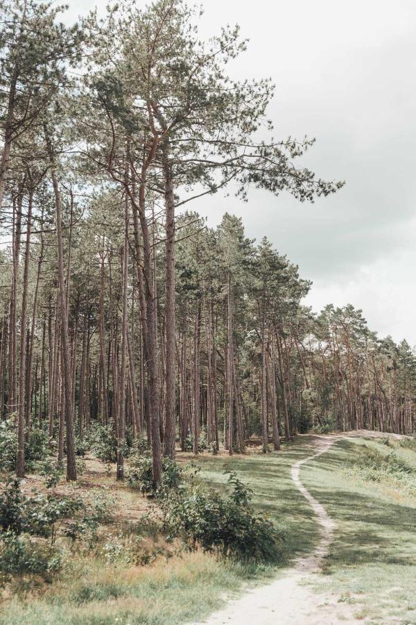Boshuisje Op De Veluwe Nunspeet Exterior photo
